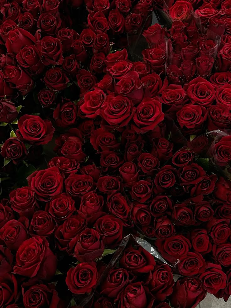 ЧЕМ МОЖЕТ БЫТЬ ЕЩЕ ПОЛЕЗЕН ROSE OXYDE LAEVO?