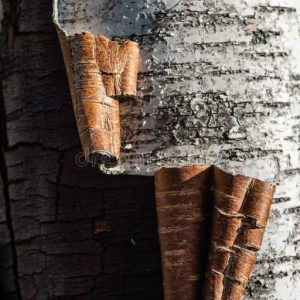 Birch Tar (Rectified) EO / Березовый деготь 10% очищенное эфирное масло