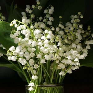 Bourgeonal® (Givaudan) / Бурженаль
