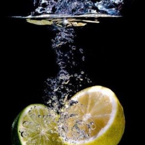 DIMYRCETOL (IFF) / Димерцетол