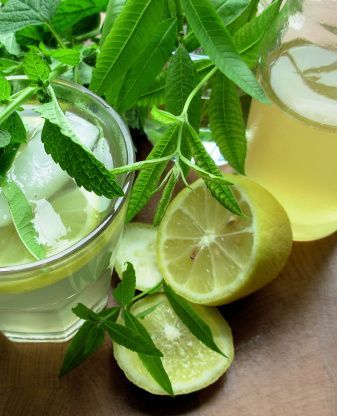 LEMONILE ® (GIVAUDAN) / Лемонил