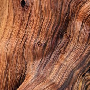 MAHOGANY PERFUME OIL (S.O.S.) / КРАСНОЕ ДЕРЕВО ПАРФЮМЕРНЫЙ КОНЦЕНТРАТ