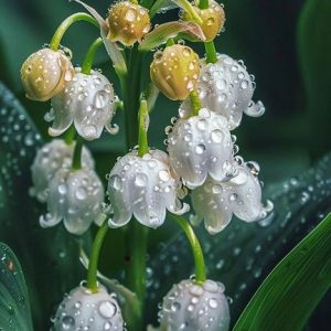 Nympheal (Givaudan) / Нимфеаль