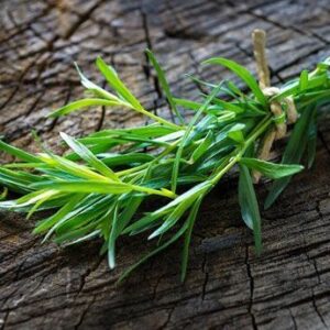 Tarragon EO / Эстрагон (тархун) 100% эфирное масло