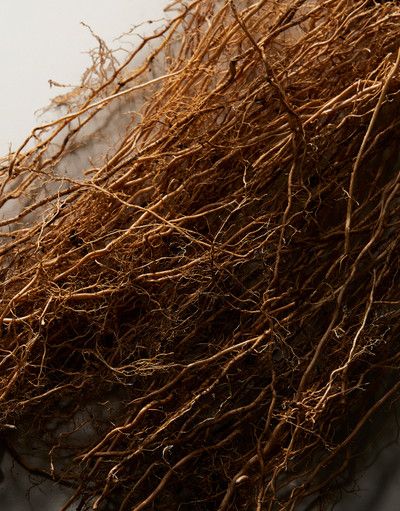 Vetiver (Vetiveryl) acetate India (Ventos) / Ветивер ацетат