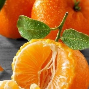 Mandarine accord парфюмерная формула/ Аккорд Мандарина