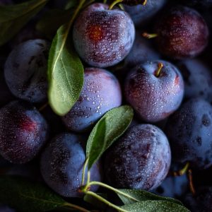 Prunol SP / Прунол