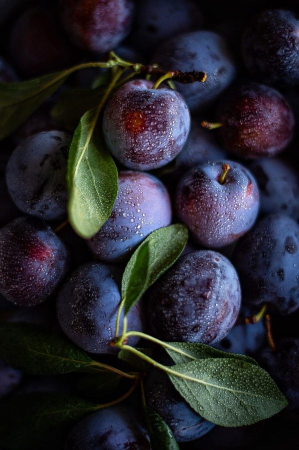Prunol SP / Прунол